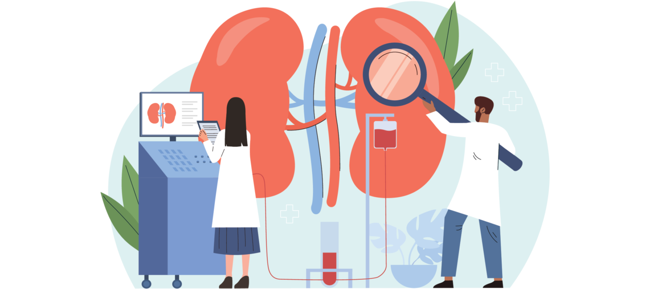 Kidney Cancer Facts ACKC kidney-cancer-facts-ackc